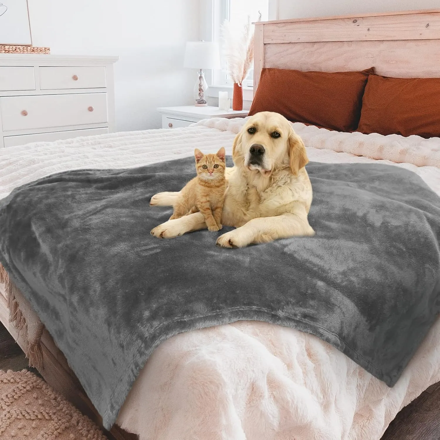MACEVIA Waterproof Dog Blanket, Fluffy Soft Pet Blankets for Dogs and Cats, Plush Throw Furniture Protector Cover for Sofa Couch Bed (60x80 Inch, Gray)