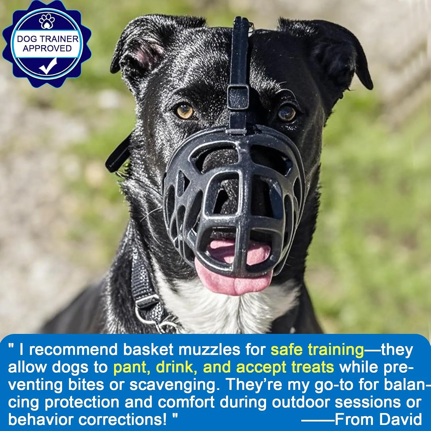 Mayerzon Dog Muzzle, Breathable Basket Muzzles for Small, Medium, Large and X-Large Aggressive Dogs Beagle German Shepherd Doberman, Cage Mouth Guard Stop Biting Chewing for Grooming Training