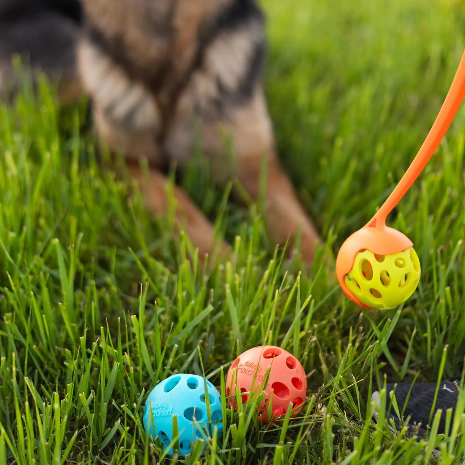 Messy Mutts Totally Pooched Huff'n Puff Ball | 3.1 TPR Puzzle Ball for Dogs | 2-in-1 Durable Interactive Toy and Tooth Cleaner | Teal