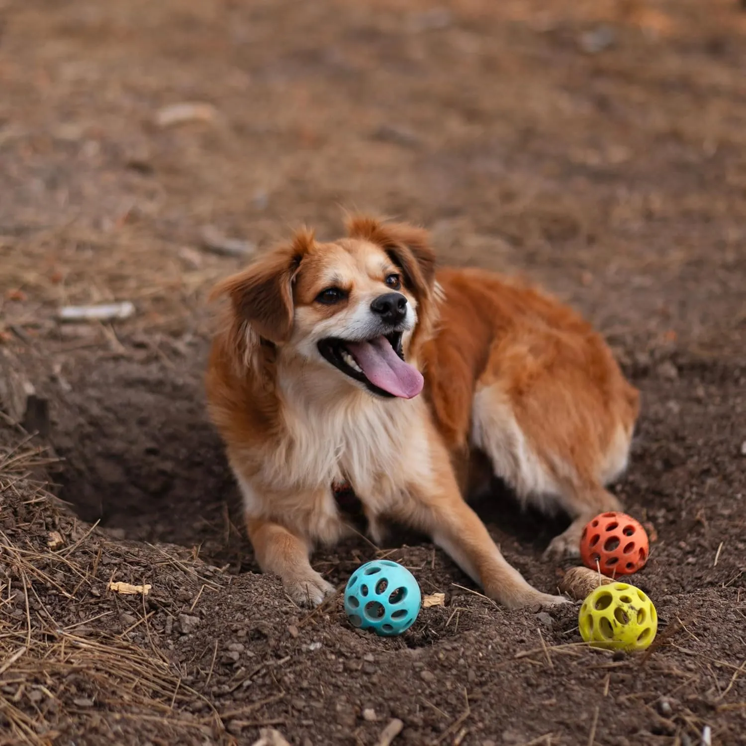 Messy Mutts Totally Pooched Huff'n Puff Ball | 3.1 TPR Puzzle Ball for Dogs | 2-in-1 Durable Interactive Toy and Tooth Cleaner | Teal