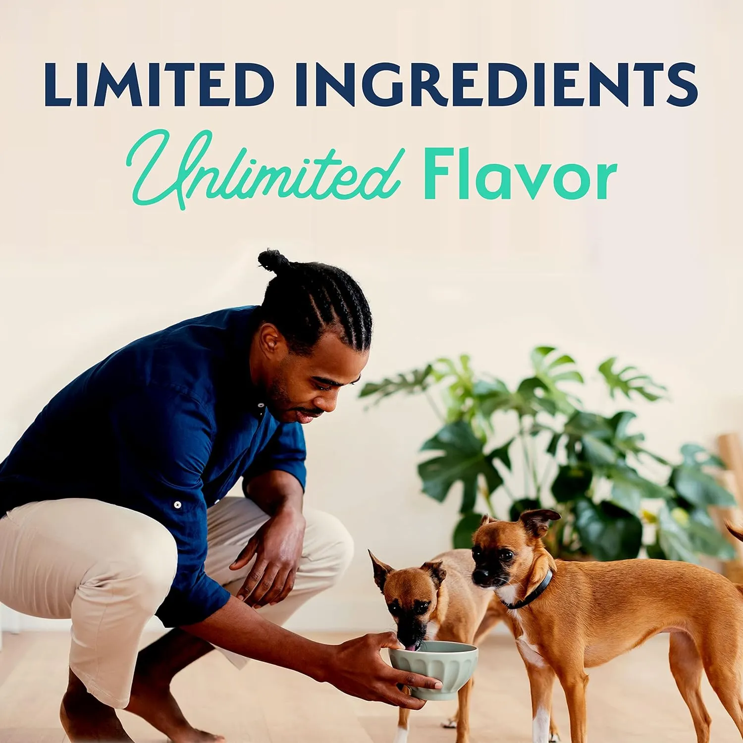 Natural Balance Limited Ingredient Small Breed Adult Grain-Free Dry Dog Food, Chicken & Sweet Potato Recipe, 4 Pound (Pack of 1)