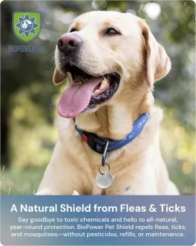Natural Flea & Tick Repellent Collar Tag for Dogs & Cats  BioPower Pet Shield  Safe for Pets When Used as Directed  Lasts 1 Full Year (2 Pack)