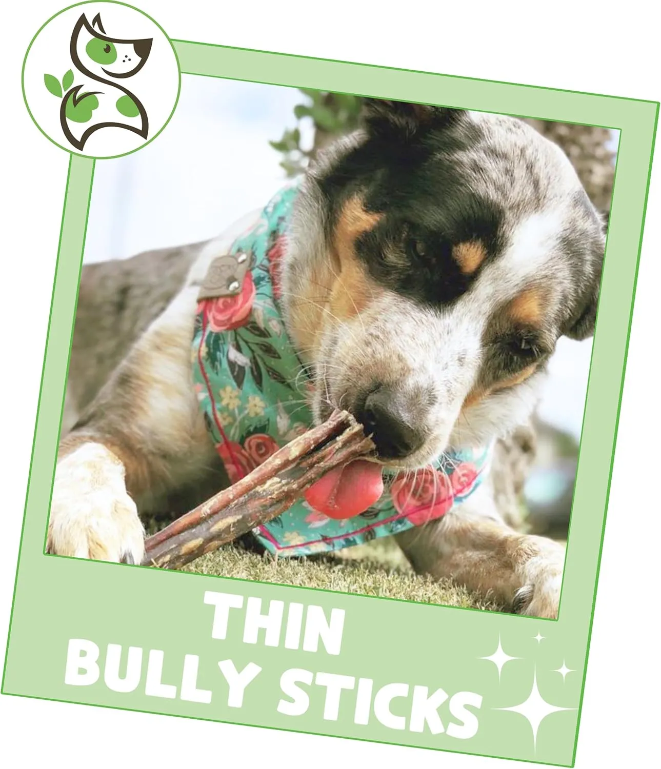 Nature Gnaws Thin Bully Sticks for Dogs 5-6" (1Lb) - Mixed Thickness - Long Lasting for Small Dogs and Puppies - Natural Thin Beef Dog Chew Bones - Rawhide Free