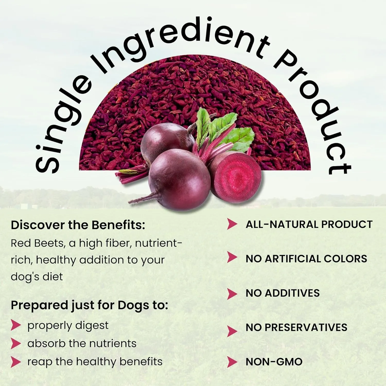 Olewo Original Red Beets for Dogs  Natural Anti Itch for Dogs, Dog Food Topper, Immune, Cleansing, Skin & Coat Support, Dehydrated Whole Food Dog Multivitamin, Fiber for Dogs, 1 lb