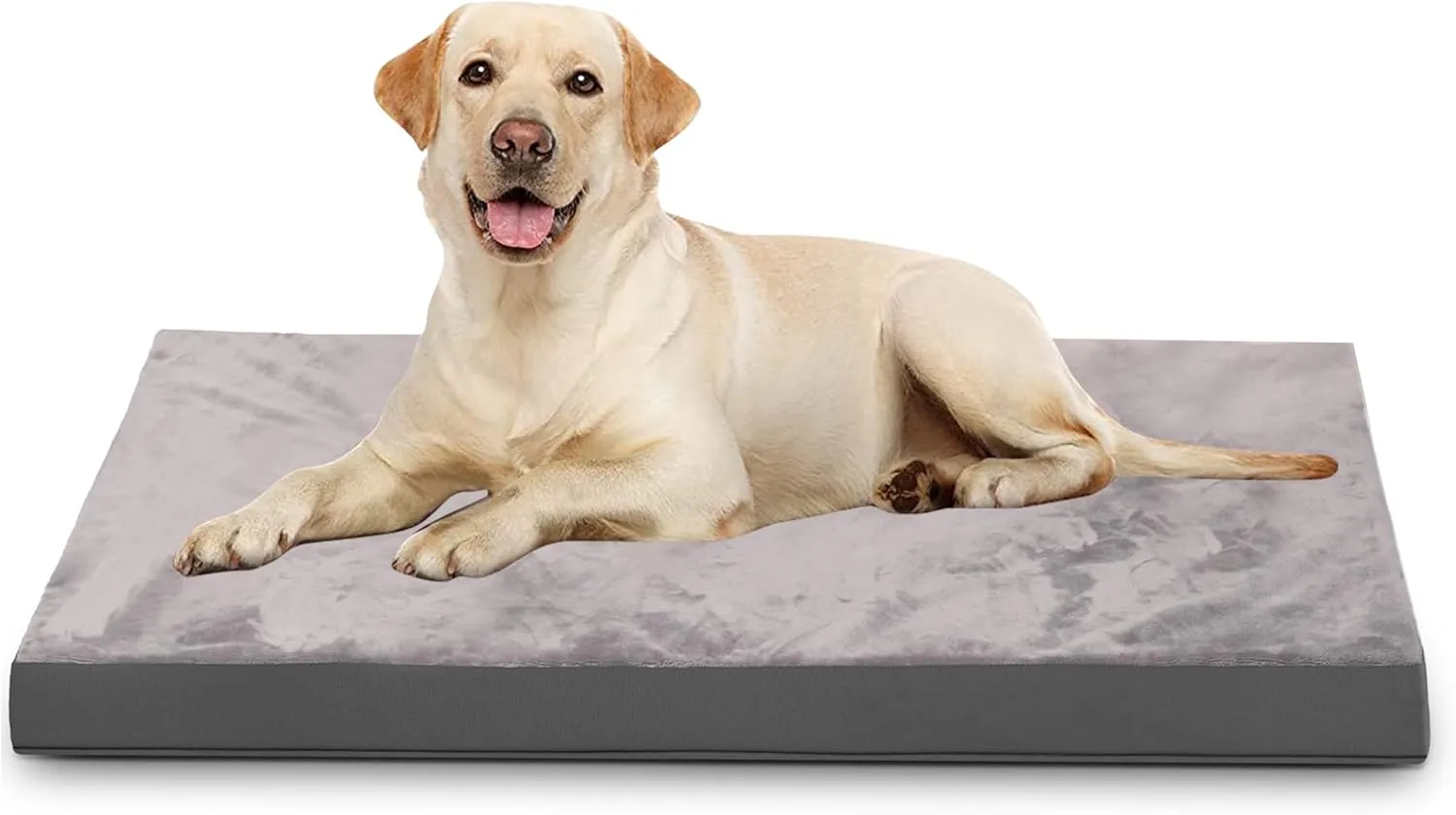 Orthopedic Dog Beds for Extra Large Dogs - Extra Large Egg Crate Foam Dog Bed Waterproof Pet Mat with Removable Washable Cover, Gray