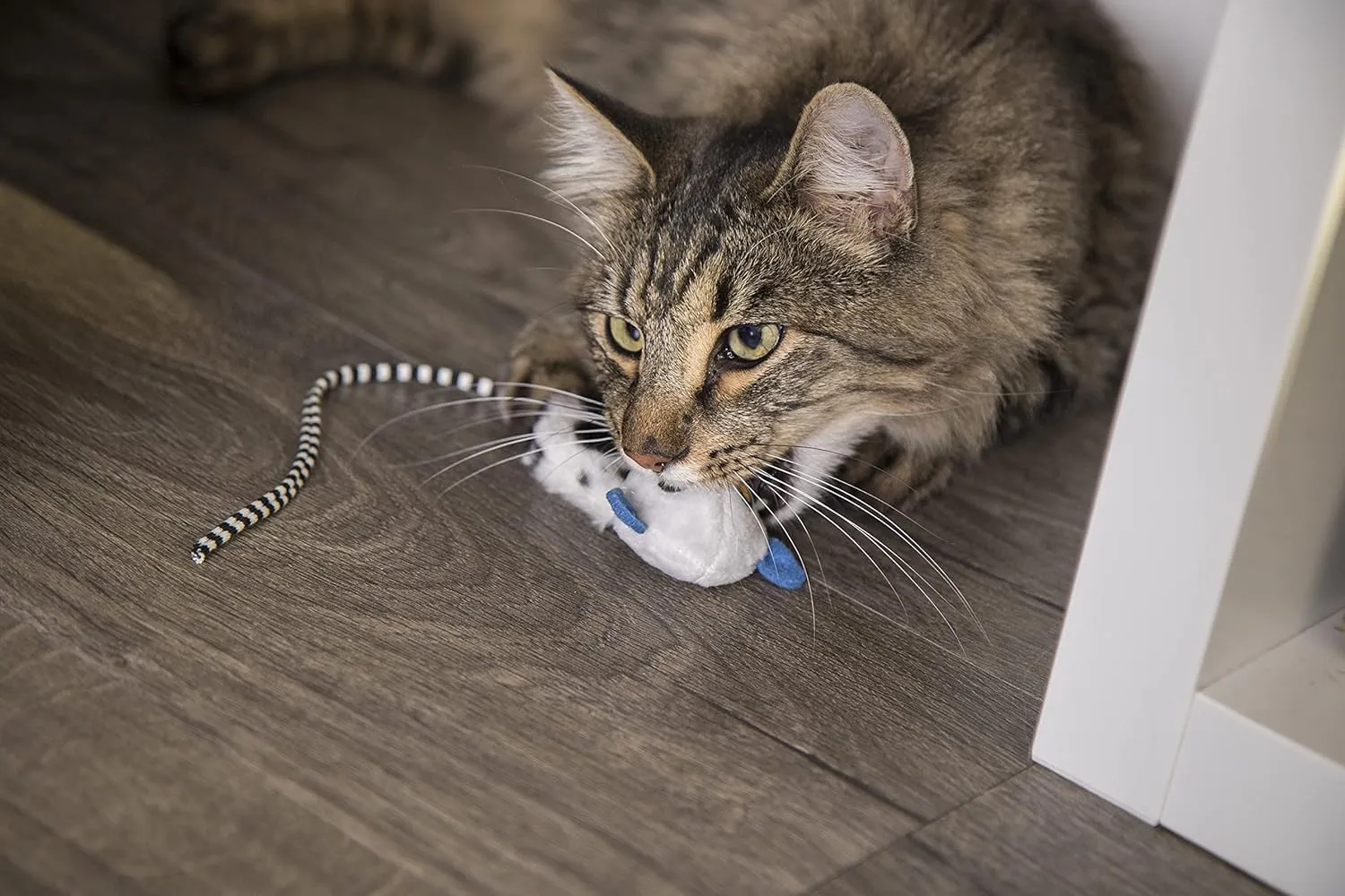 Petlinks HappyNip Lemur Lights Electronic Light Cat Toy, Contains Silvervine & Catnip, Battery Powered - Black/White, One Size