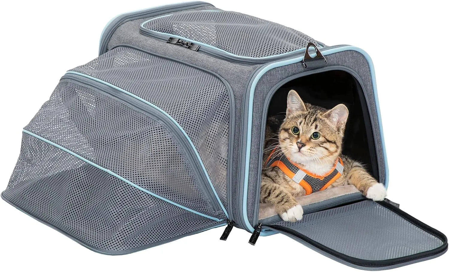 Petsfit Small Cat Carrier Soft Airline Approved Expandable Carrier for Kitten Puppy Bunny, 16"X10"X9