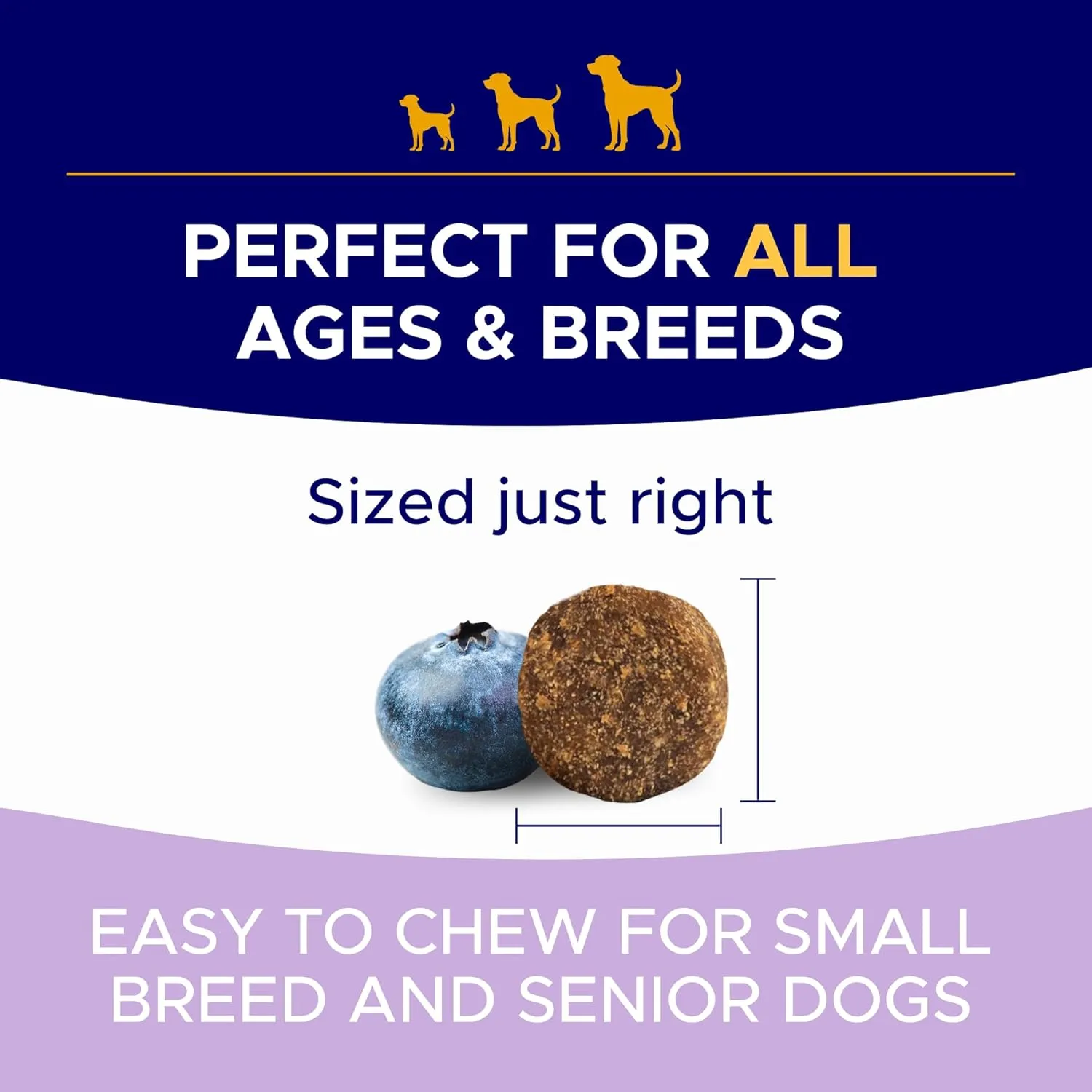 Probiotics for Dogs Gut Health & Digestive Function Support - Probiotic Chews w Pumpkin & Omega - Upset Stomach & Gas Relief, Constipation, Canine Prebiotic Supplement