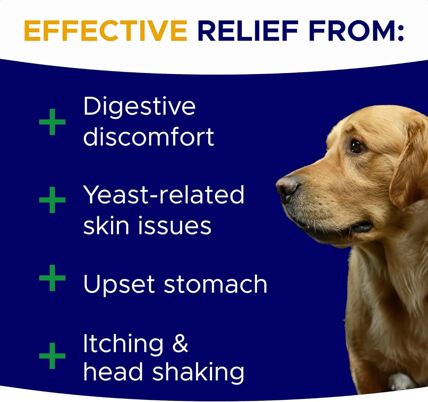Probiotics for Dogs Gut Health & Digestive Function Support - Probiotic Chews w Pumpkin & Omega - Upset Stomach & Gas Relief, Constipation, Canine Prebiotic Supplement