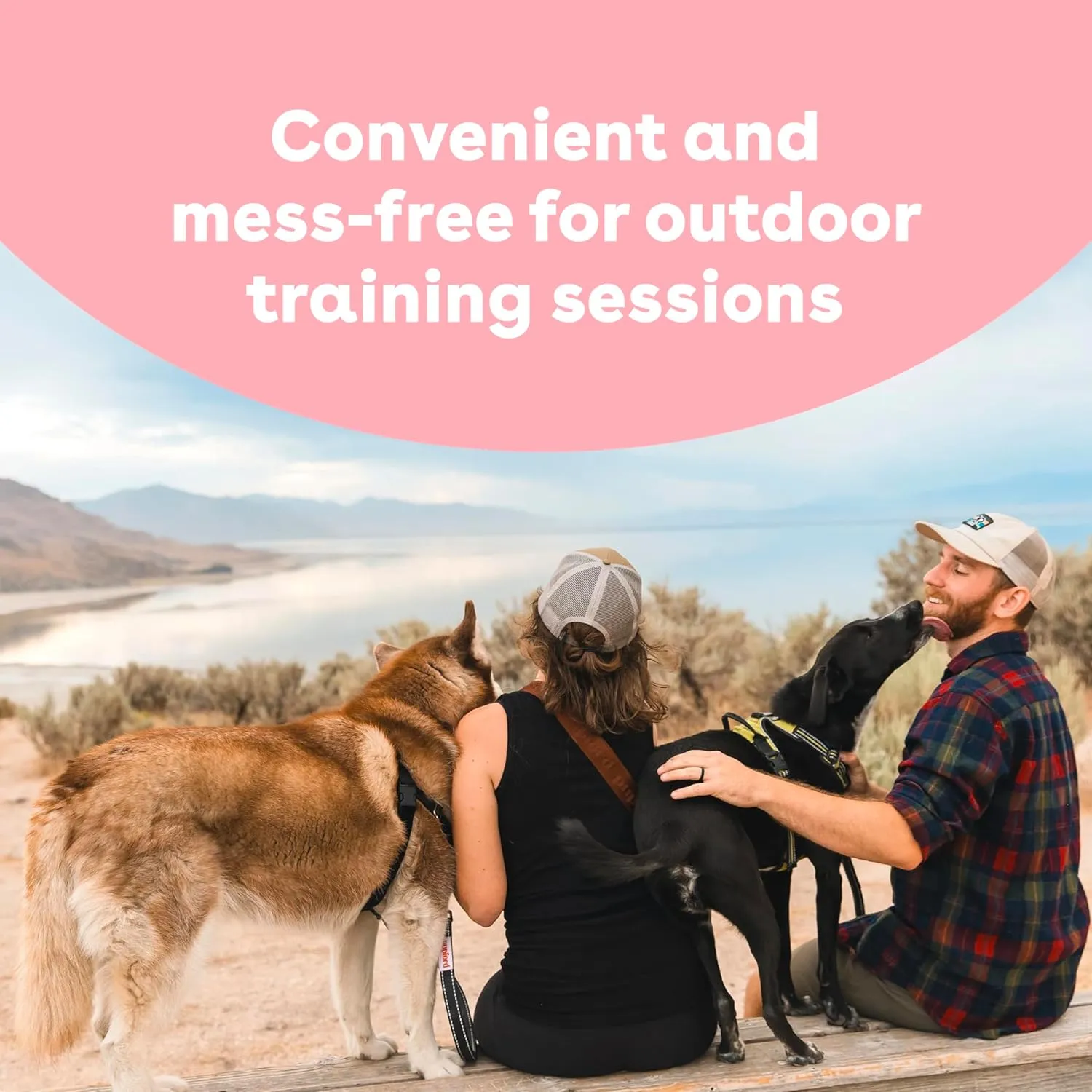 Pupford Freeze Dried Training Treats for Dogs & Puppies, 450  One Ingredient Bites (Sweet Potato, 4 oz)
