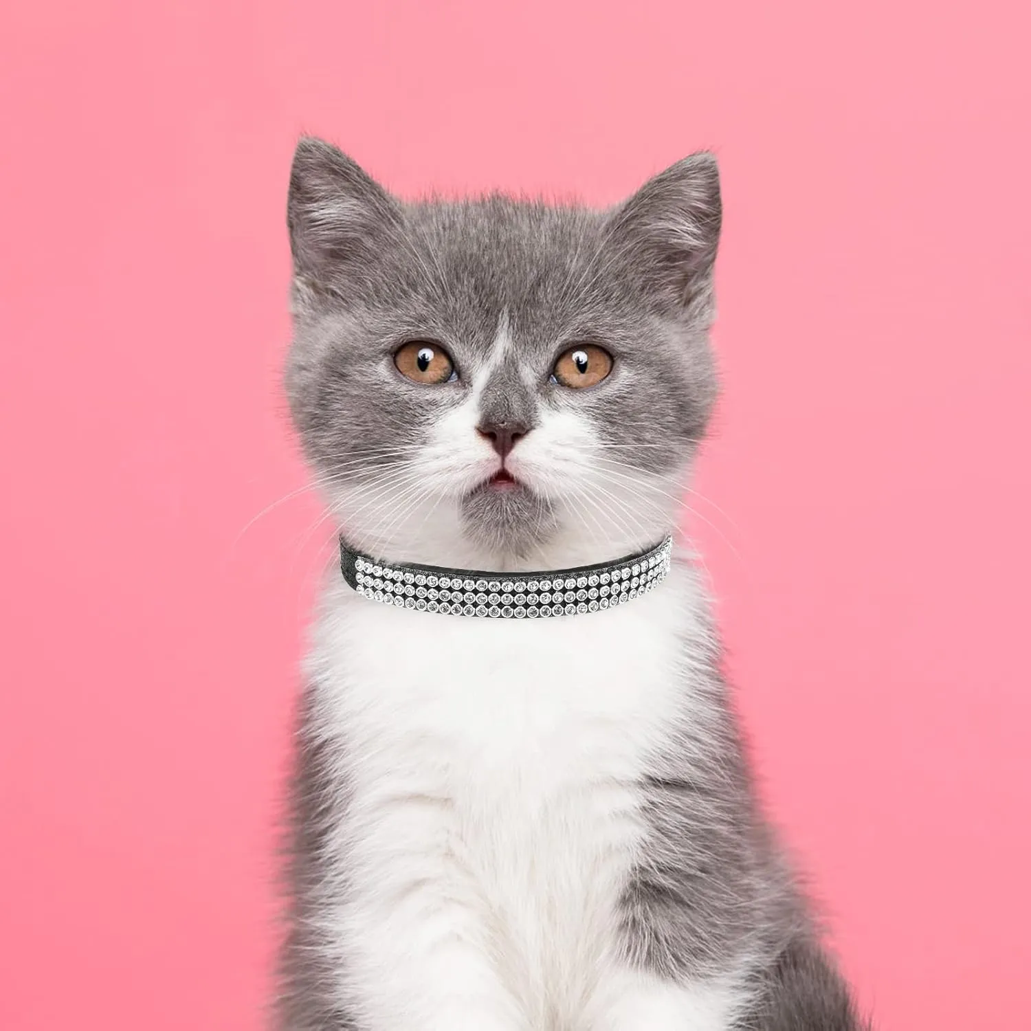 PUPTECK Basic Adjustable Cat Collar with Bling Diamante and Double Bells, for Kitten and Small Puppy, Fashion and Shining, 6-8 in, Black