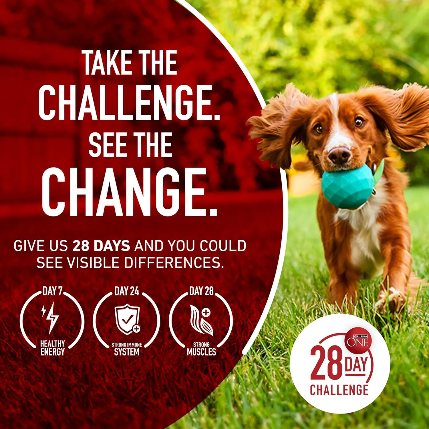 Purina ONE True Instinct High Protein Dry Dog Food Formula with Real Chicken and Duck Natural with Added Vitamins and Minerals Dog Food - 27.5 lb. Bag