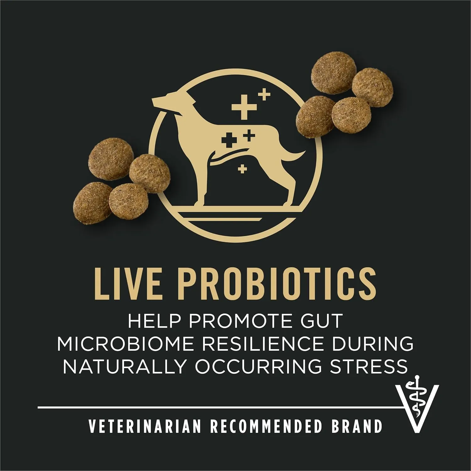 Purina Pro Plan Large Breed Dry High Protein Dog Food with Probiotics for Dogs, Beef and Rice Formula - 34 lb. Bag