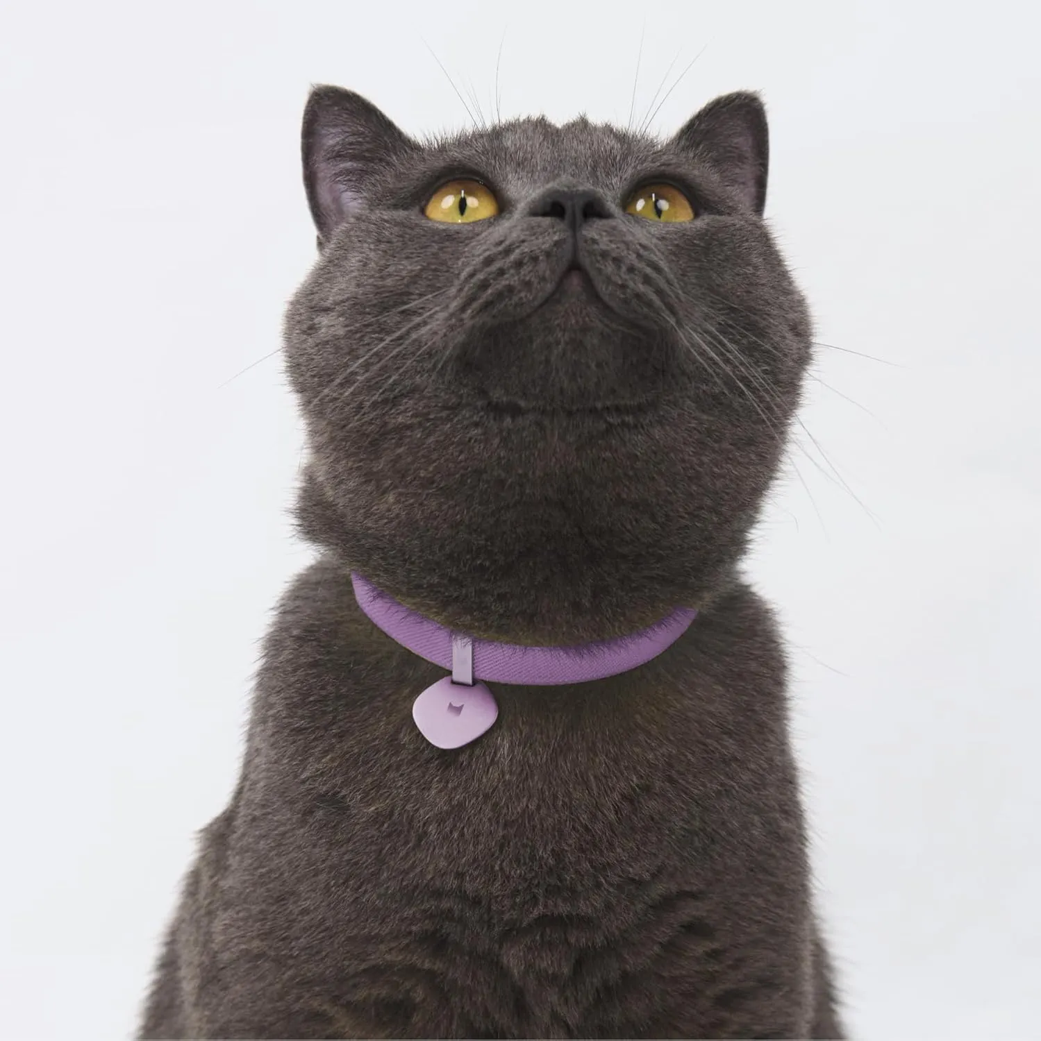 Safety Cat Collar and ID Tag Set - Elastic Quick Release Non Breakaway Cat Collar Personalized Anodized Aluminum Engraved Pet Name Tag, Lightweight for Kitten Small Large Cats