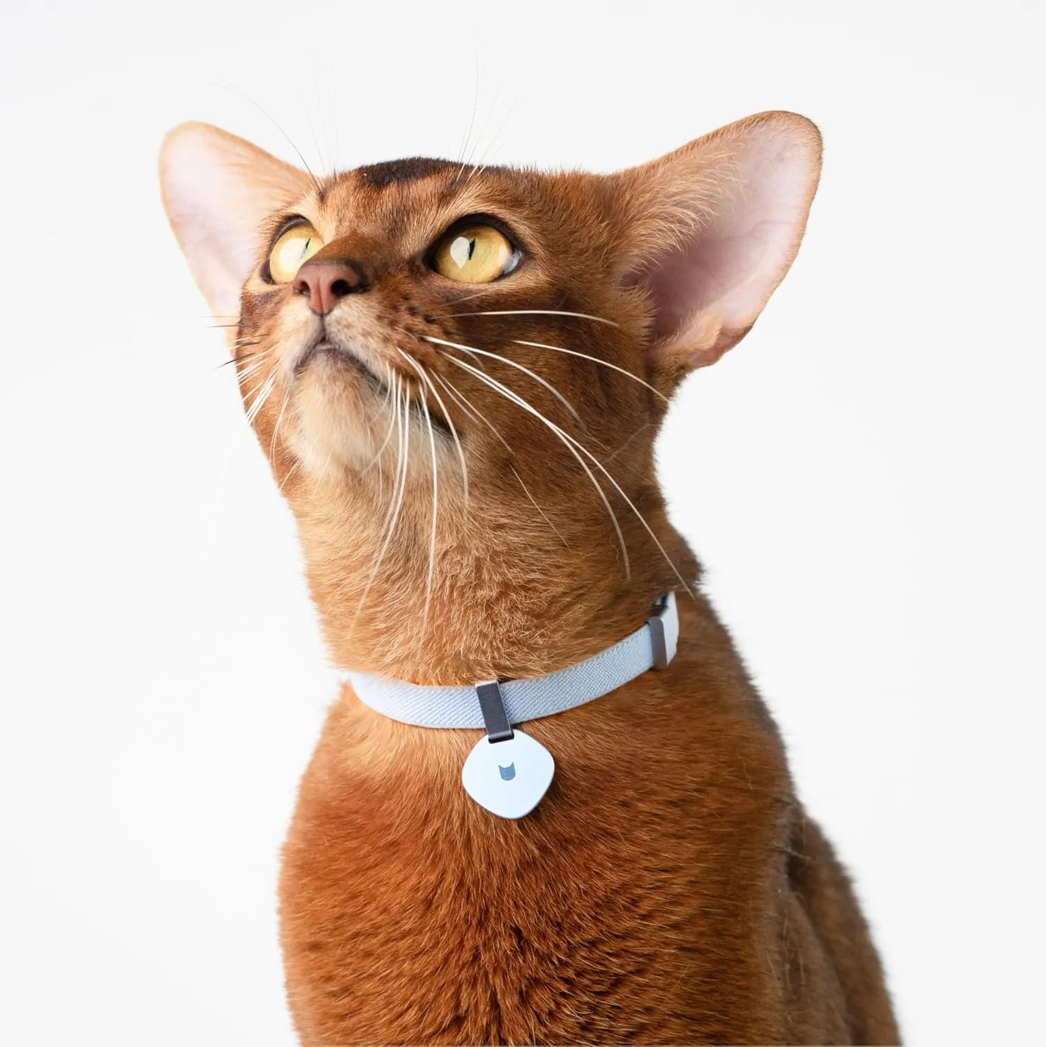 Safety Cat Collar and ID Tag Set - Elastic Quick Release Non Breakaway Cat Collar Personalized Anodized Aluminum Engraved Pet Name Tag, Lightweight for Kitten Small Large Cats