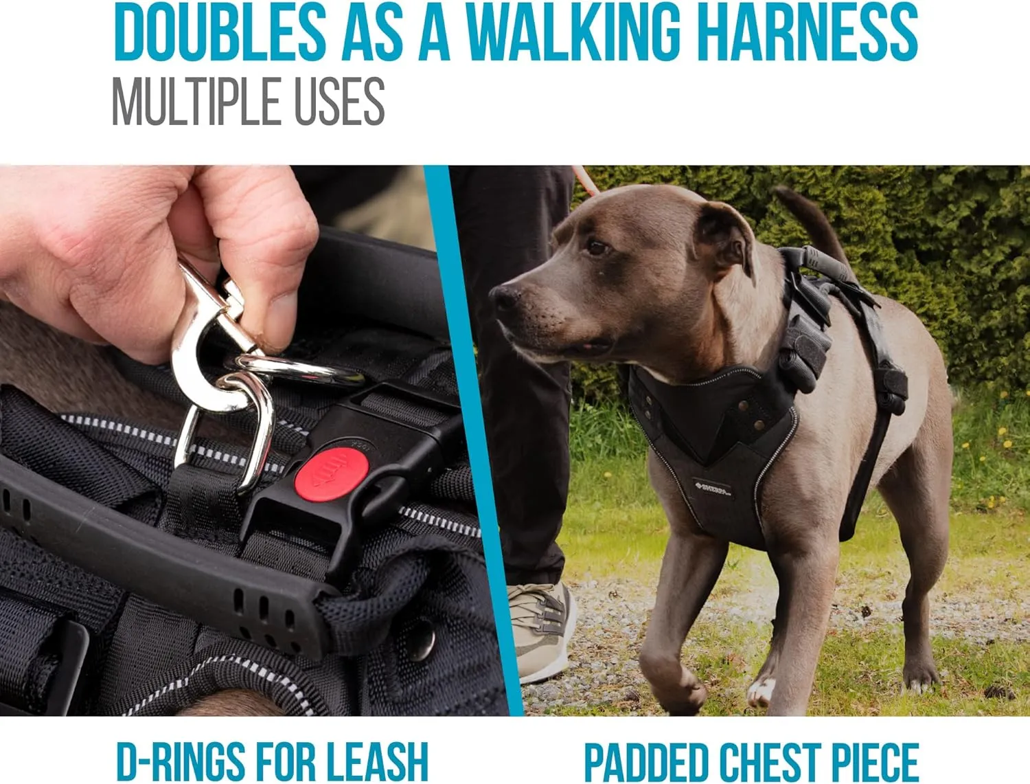 Sherpa Crash-Tested Multipurpose Seatbelt Dog Harness - Black, Large