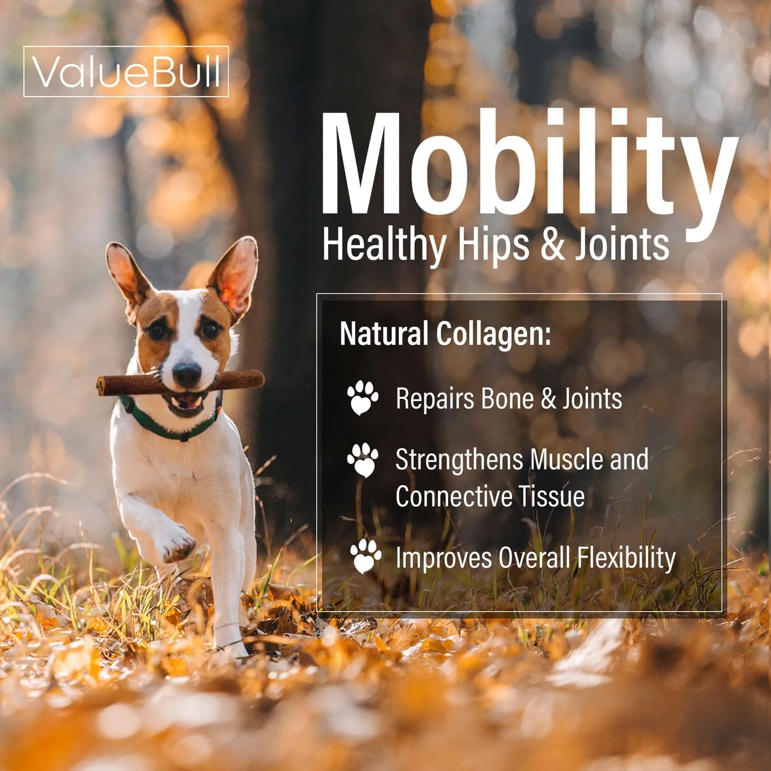 ValueBull USA Collagen Sticks for Dogs, 6 Inch Jumbo Chews, Natural Long-Lasting Dog Treats, 100 Count Bulk Pack - Supports Joints, Skin & Coat with Chondroitin & Glucosamine