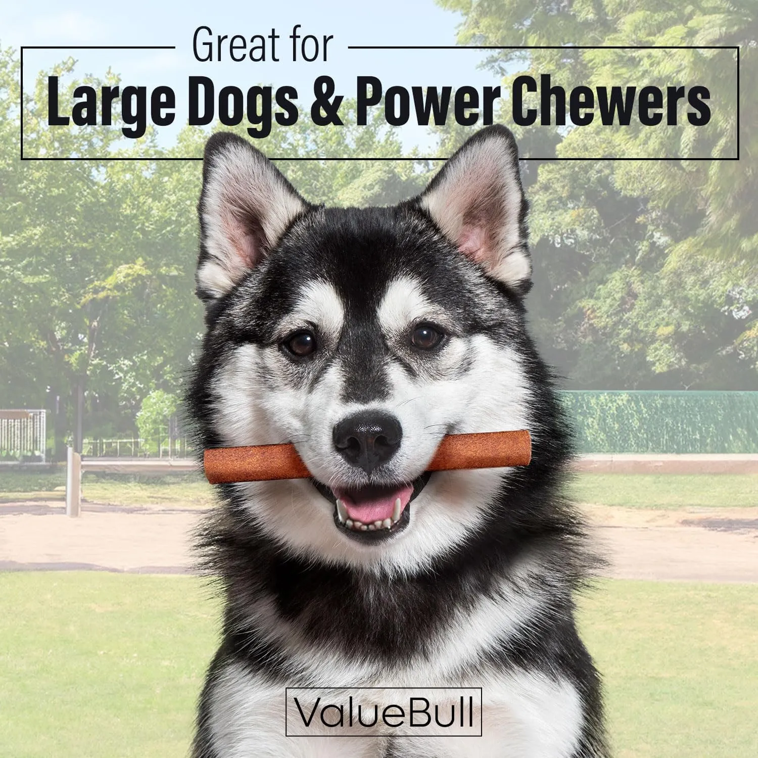 ValueBull USA Collagen Sticks for Dogs, 6 Inch Jumbo Chews, Natural Long-Lasting Dog Treats, 100 Count Bulk Pack - Supports Joints, Skin & Coat with Chondroitin & Glucosamine