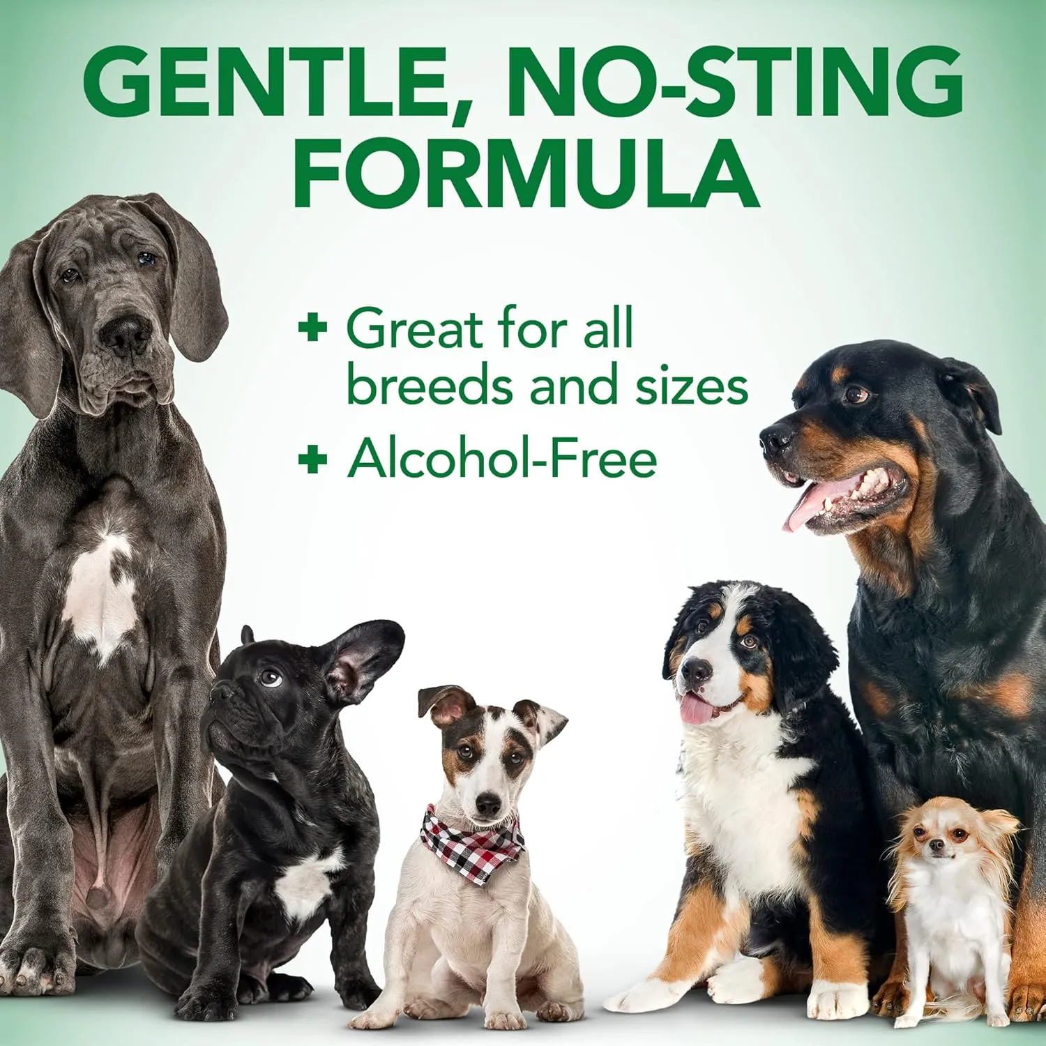 Vet's Best Dog Ear Relief Wash - Alcohol-Free No-Sting Formula - Controls Odors & Itching - Cleans Wax & Debris - 16 Ounces