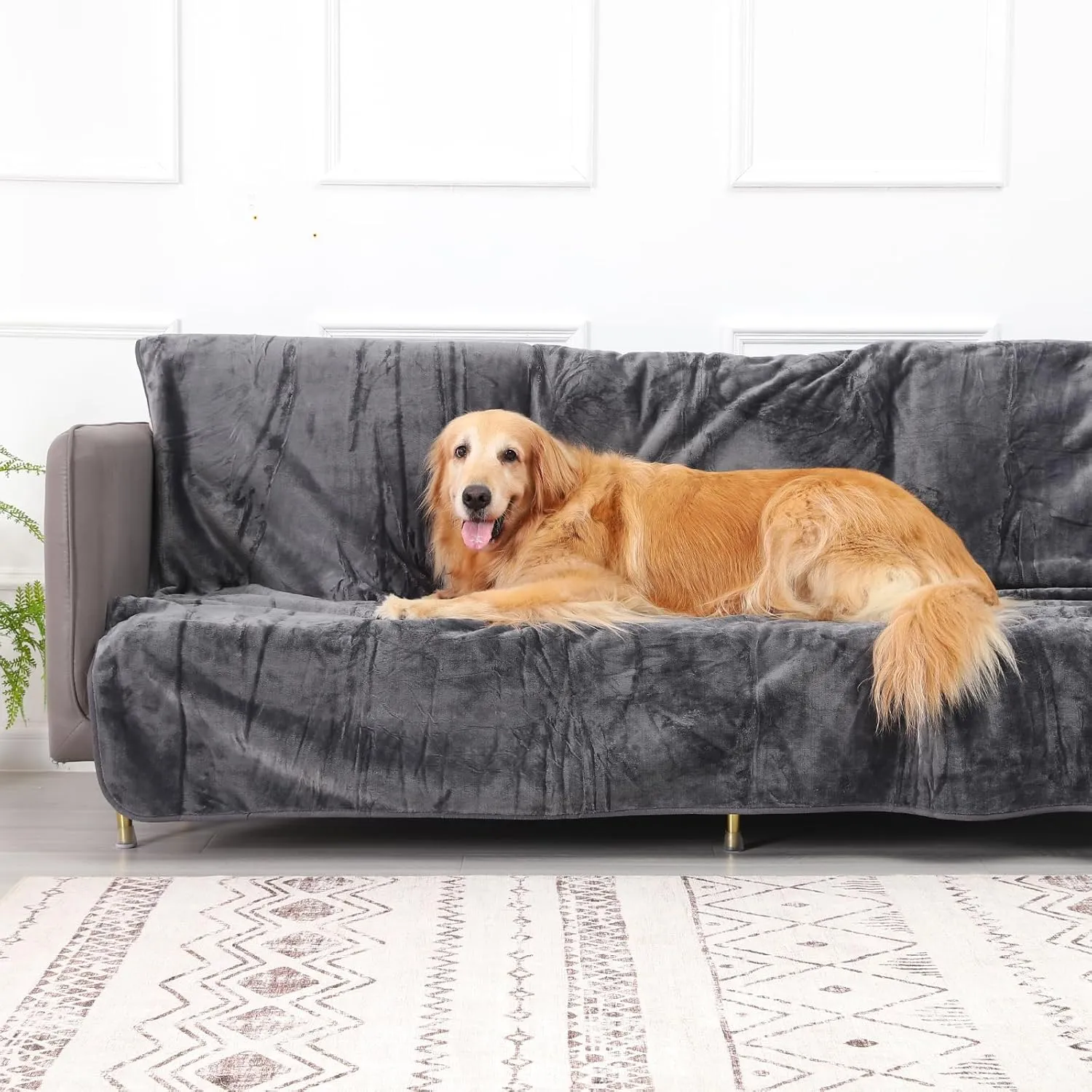 Waterproof Dog Blanket Bed Cover for Bed Couch Sofa, Liquid Pee Proof Pet Blanket Washable, Reversible Sherpa Fleece Blanket Furniture Protector for Medium Large Dogs CatsGray, 50"x 60"