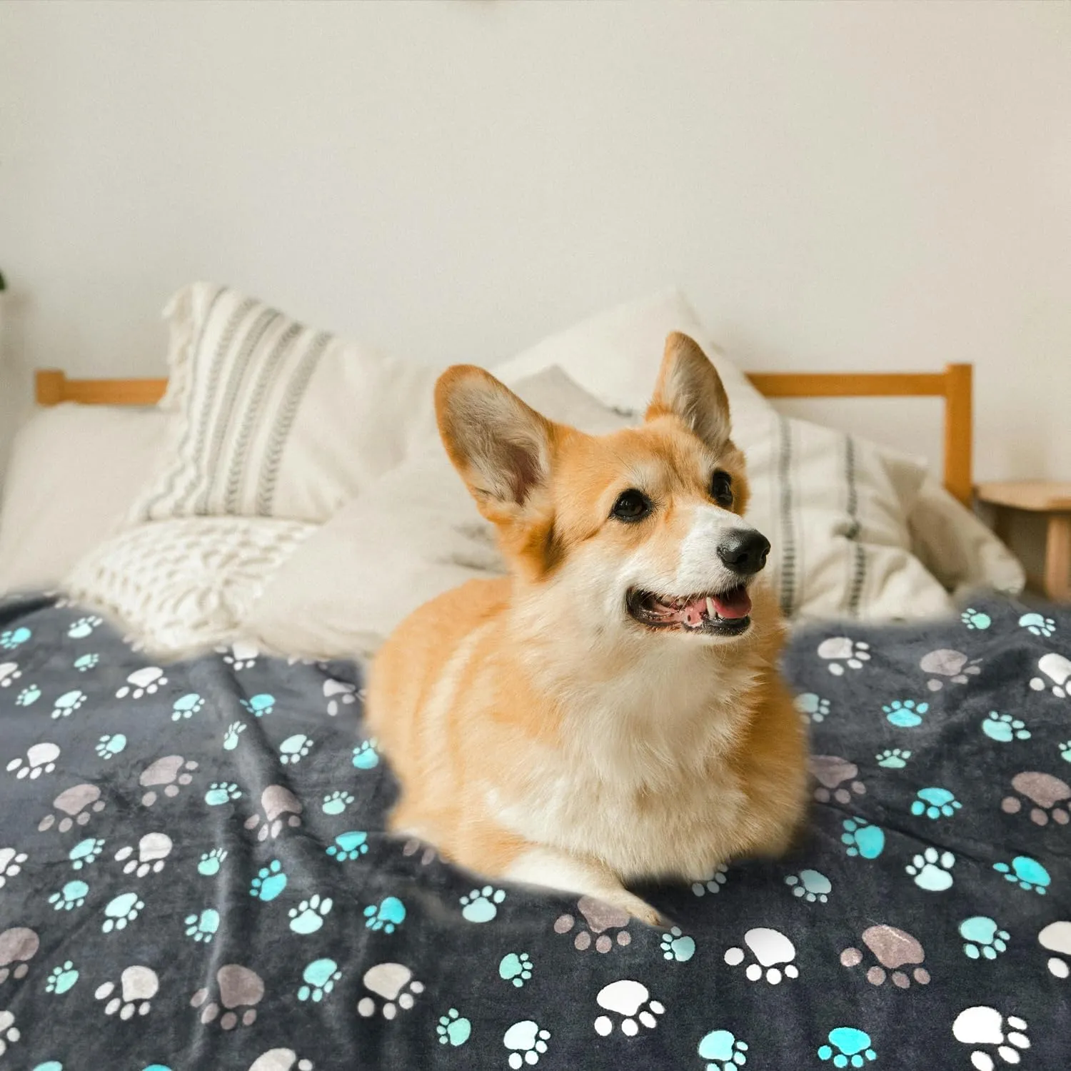 Waterproof Dog Blankets for Large Dogs, 41" x 31" Dog Blanket Washable, Soft Fluffy Flannel Pet Blanket Mat Cover for Bed Couch, Cute Print Puppy Blanket