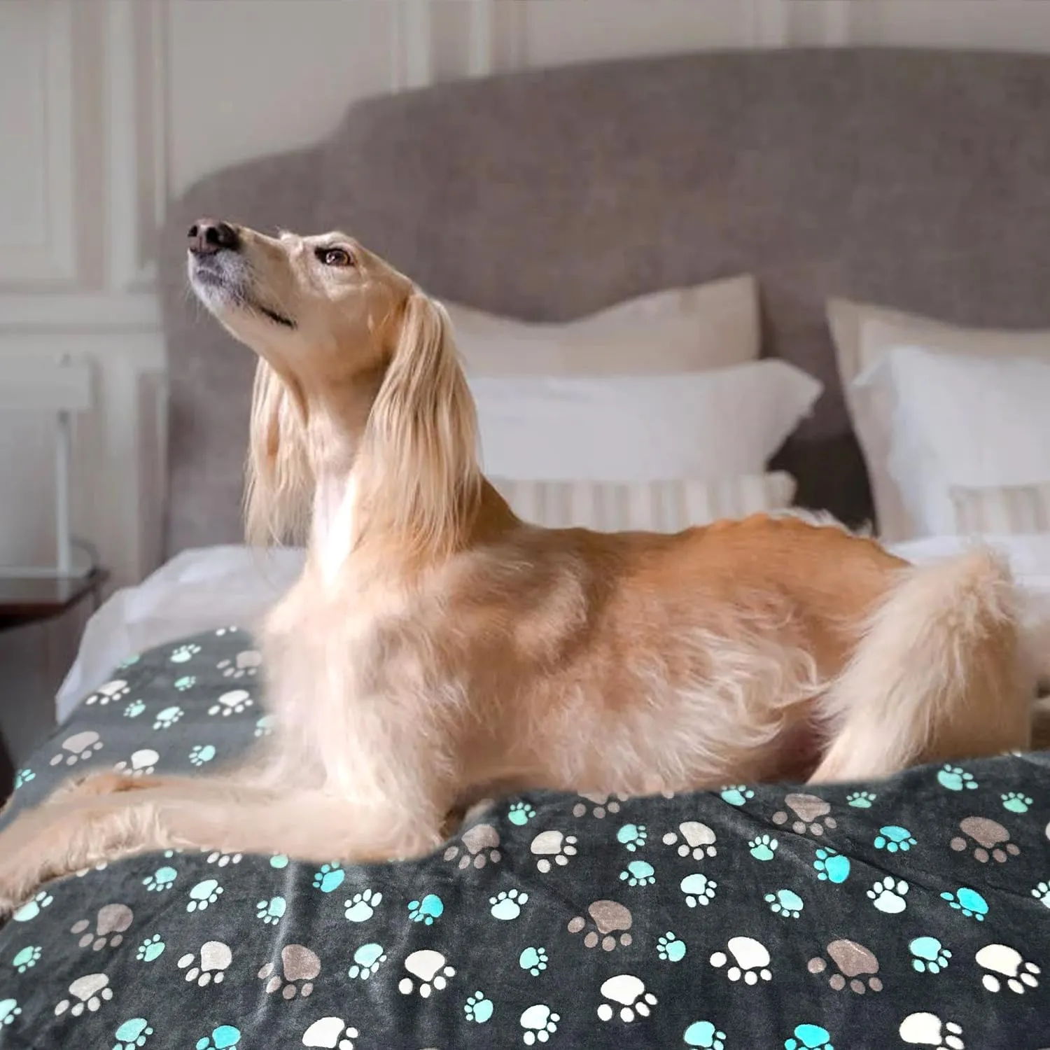 Waterproof Dog Blankets for Large Dogs, 41" x 31" Dog Blanket Washable, Soft Fluffy Flannel Pet Blanket Mat Cover for Bed Couch, Cute Print Puppy Blanket