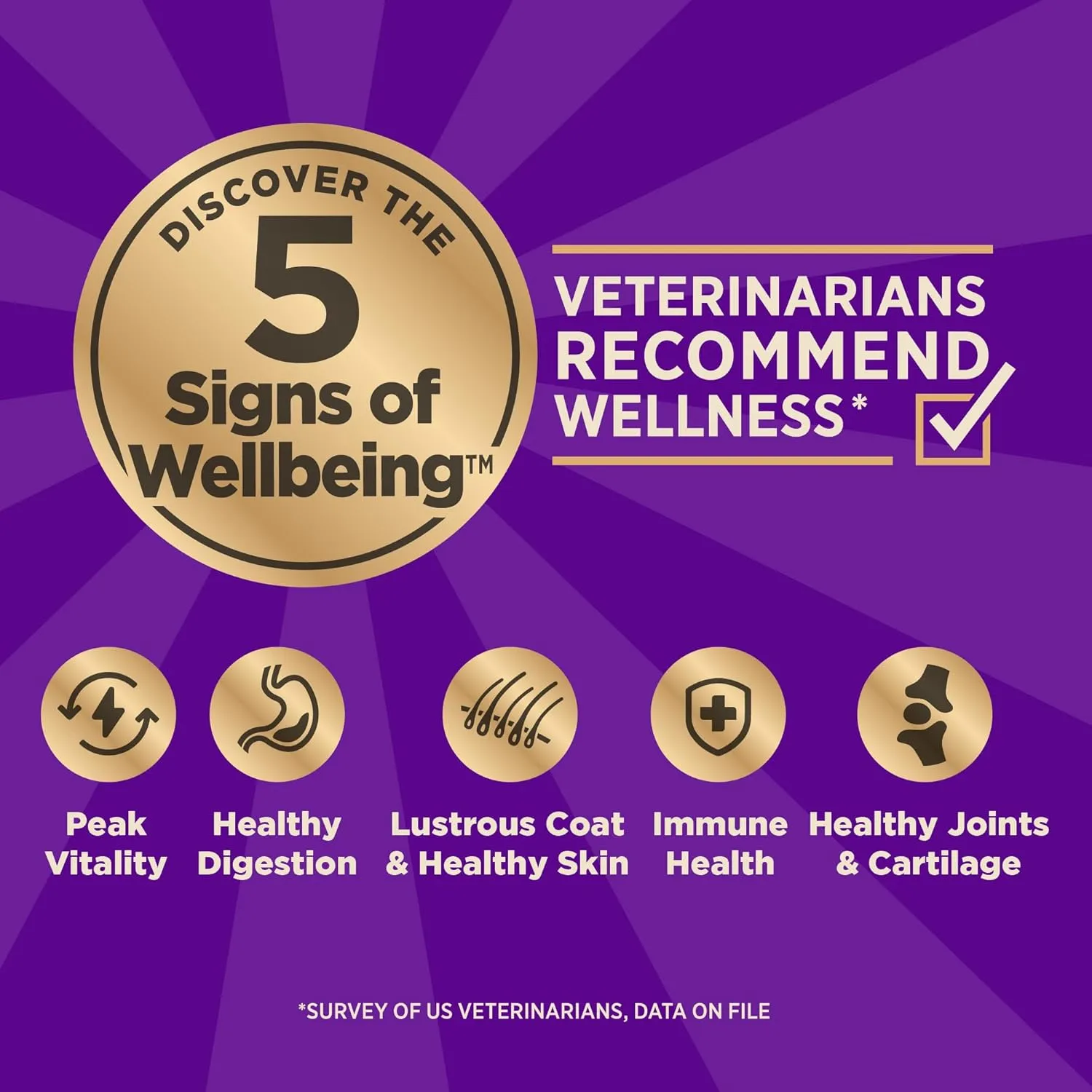 Wellness CORE  Sensitive Skin & Stomach Dry Dog Food with Freeze Dried Pieces, Wholesome Grains, High Protein, Natural, Salmon & Rice Recipe, (4-Pound Bag)