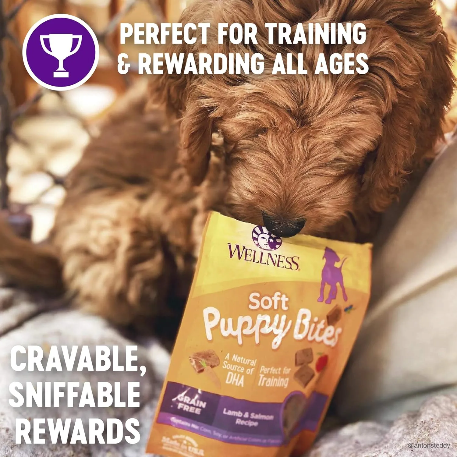 Wellness Puppy Treats, Natural, Training Treat, Grain Free, Soft Lamb & Salmon (3 Ounce bag)