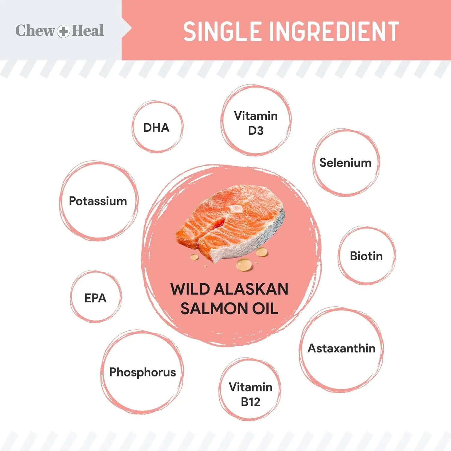 Wild Alaskan Salmon Fish Oil for Dogs - 16 oz. of Fish Oil Formula - Pump Cap Bottle - Contains Omega-3 and 6, Vitamin D, EPA, and DHA for Healthy Skin and Coat