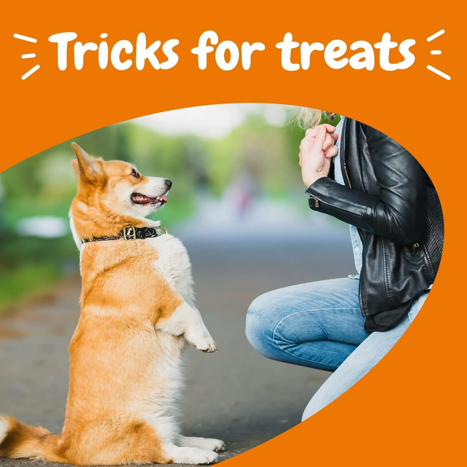Zesty Paws Training Treats for Dogs - Training Treats for Puppies - Hip, Joint & Muscle Health - Immune, Brain, Heart, Skin & Coat Support - with Fish Oil Omega 3 Fatty Acids - Bacon Flavor  8oz