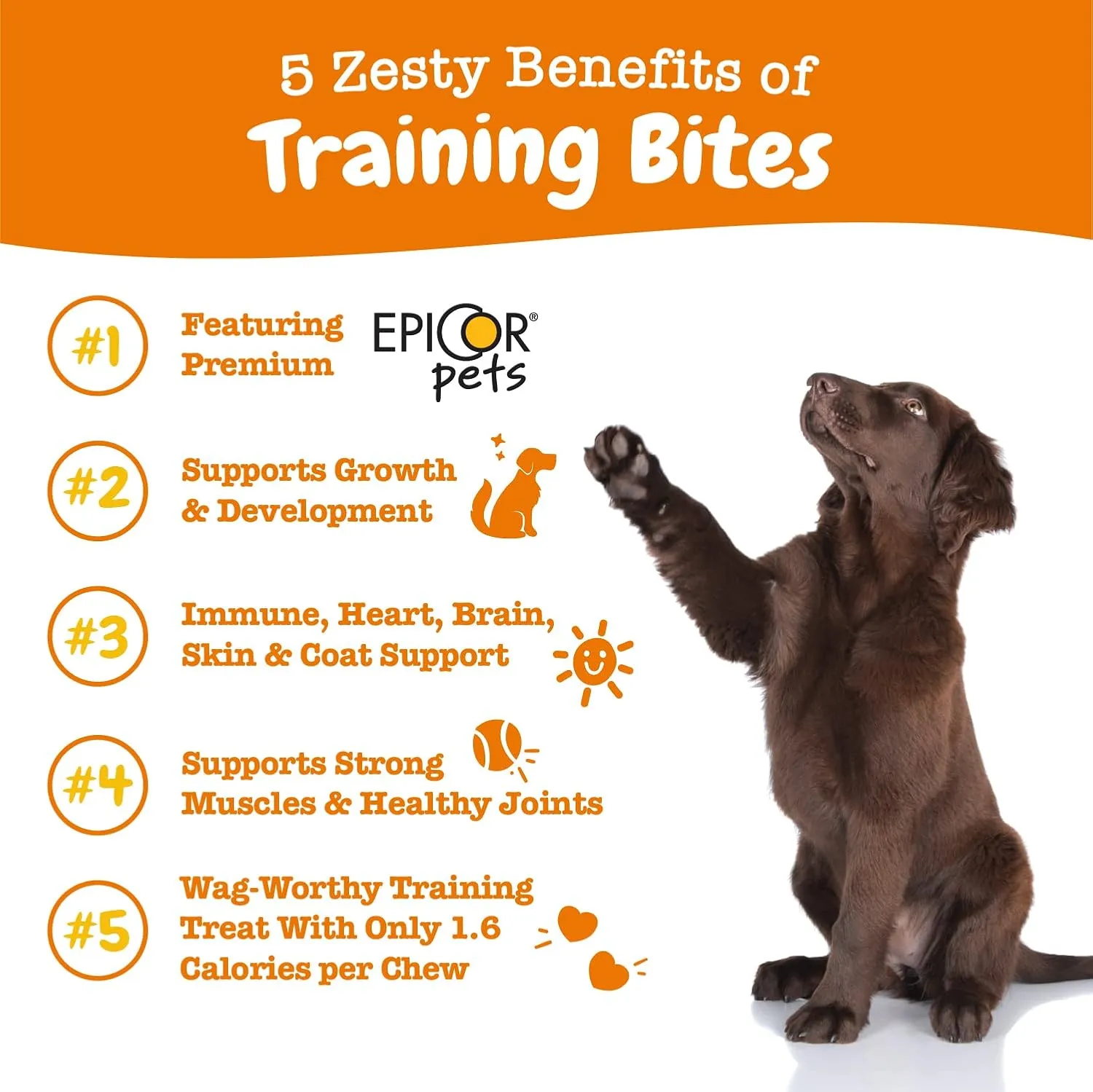Zesty Paws Training Treats for Dogs - Training Treats for Puppies - Hip, Joint & Muscle Health - Immune, Brain, Heart, Skin & Coat Support - with Fish Oil Omega 3 Fatty Acids - Bacon Flavor  8oz