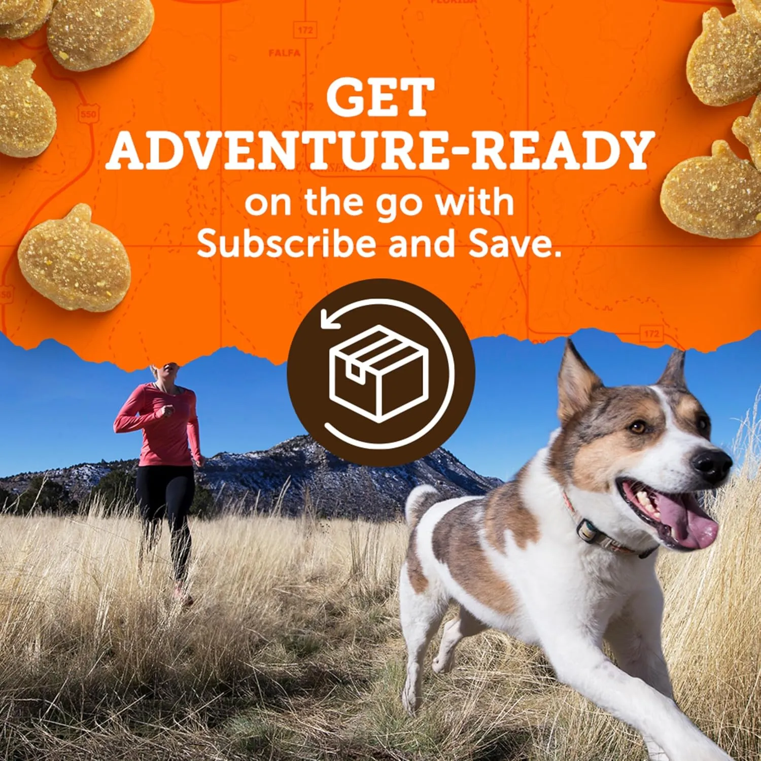 Zukes Mini Naturals Soft And Chewy Dog Treats For Training Pouch, Natural Treat Bites With Beef Recipe - 6 oz. Bag