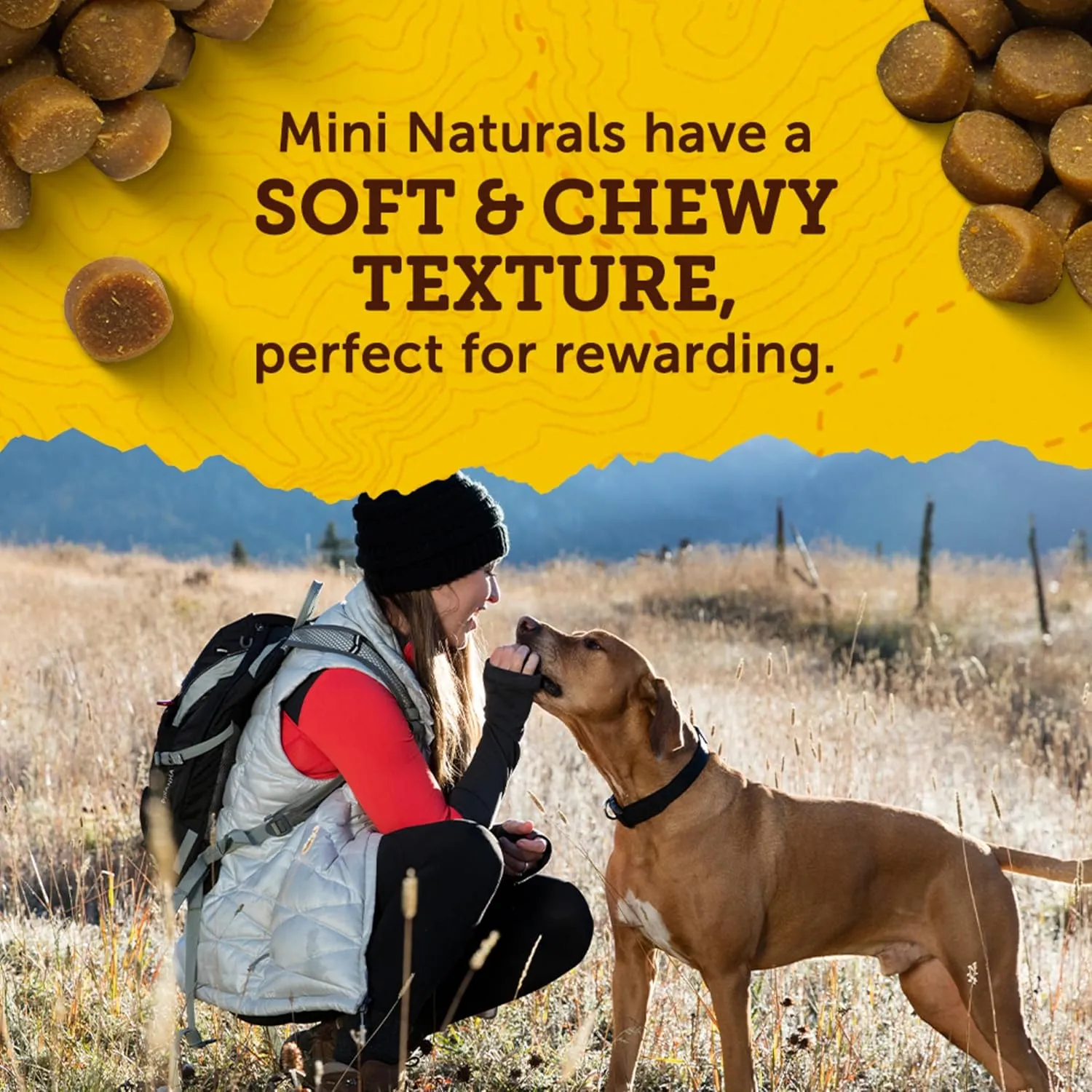 Zukes Mini Naturals Soft And Chewy Dog Treats For Training Pouch, Natural Treat Bites With Beef Recipe - 6 oz. Bag
